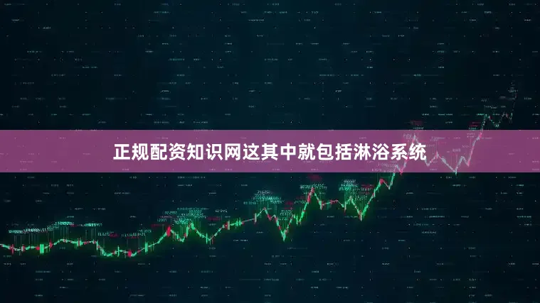 正规配资知识网这其中就包括淋浴系统
