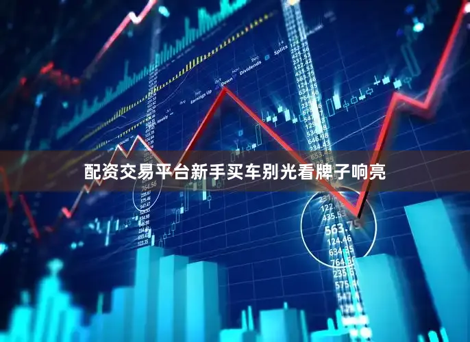 配资交易平台新手买车别光看牌子响亮