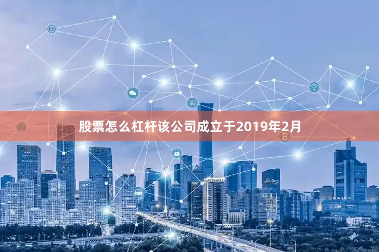 股票怎么杠杆该公司成立于2019年2月